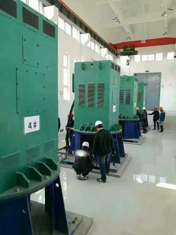 YJTGKK6302-8某污水处理厂使用我厂的立式高压电机安装现场