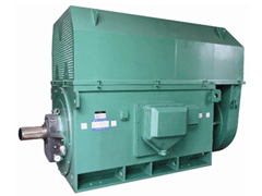 YJTGKK6302-8Y系列6KV高压电机